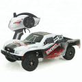 DWI Dowellin 1:12 Electric Desert Truck Remote Control Car With LOw Price